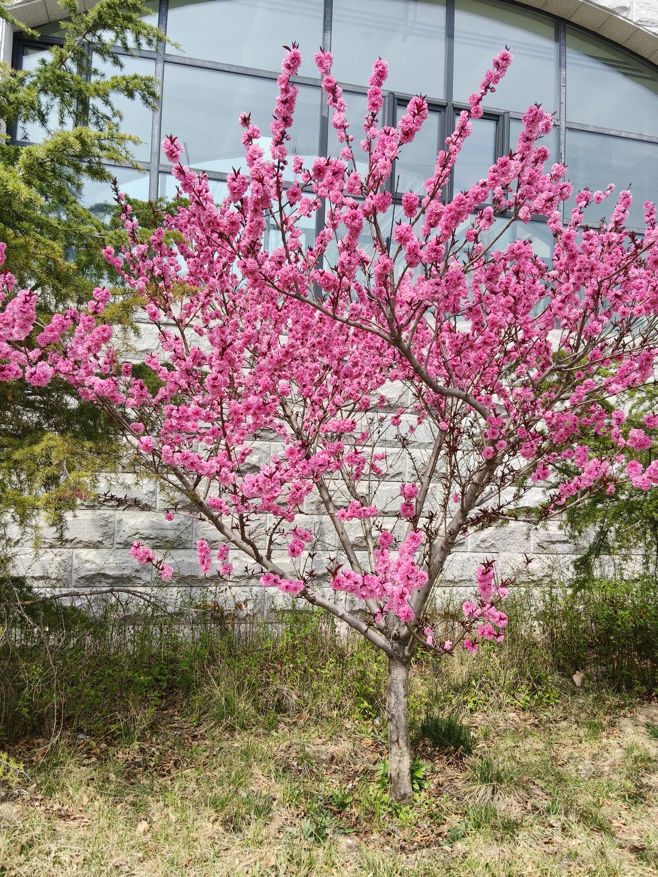 赌近盗，淫近杀长沙的马先生发现妻子刘某半夜也没回家，于是在村子里到处寻找，