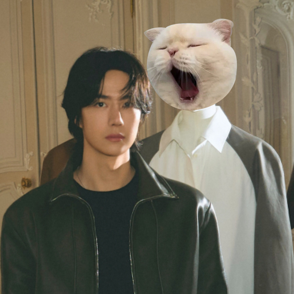 老公早上好，猫猫向你问好啦[红脸笑]王一博向全世界安利王一博​​​
