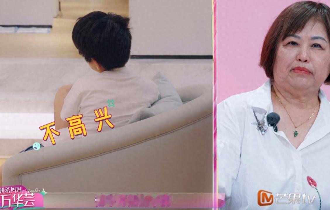 陈妍希儿子跟吴京儿子一起上武术课，哭着想爸爸陈晓显得落寞​​​