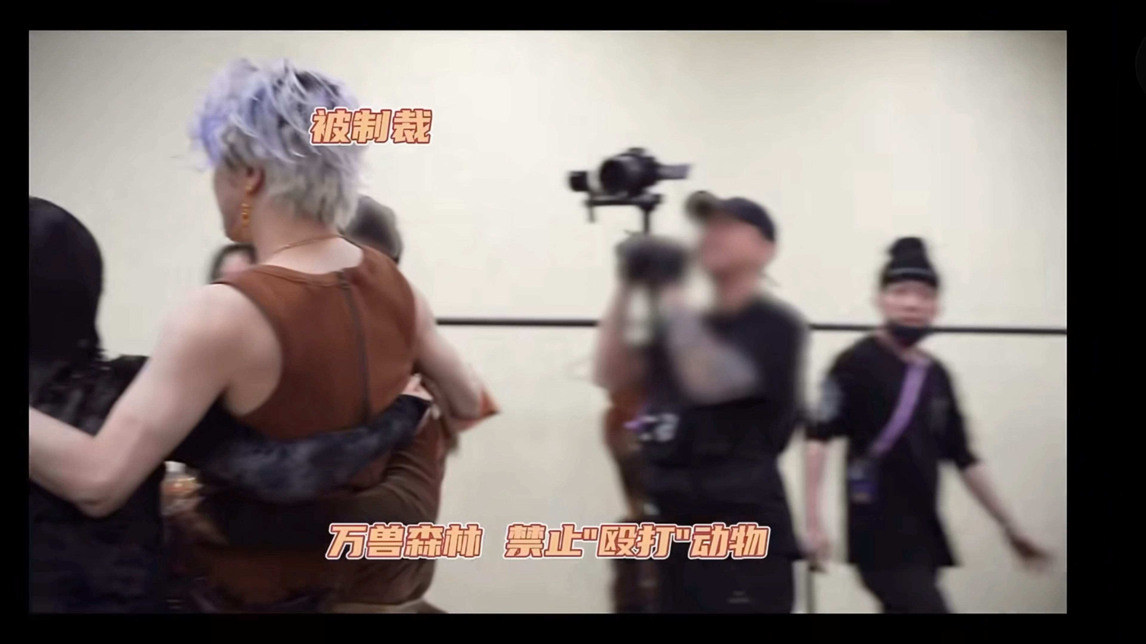 啊啊啊薛之谦好萌吧！