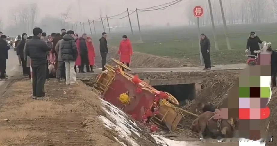 新郎新娘坐马车意外翻进沟里，新娘落地，大吉大利；人仰马翻，后辈做官！1月2