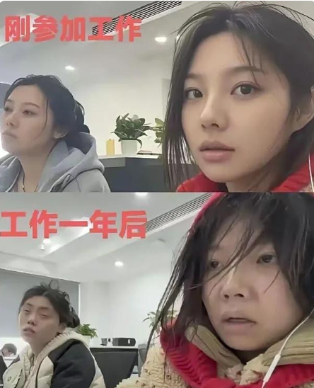 心高气傲的毕业生进入社会大学后！内容不要太真实