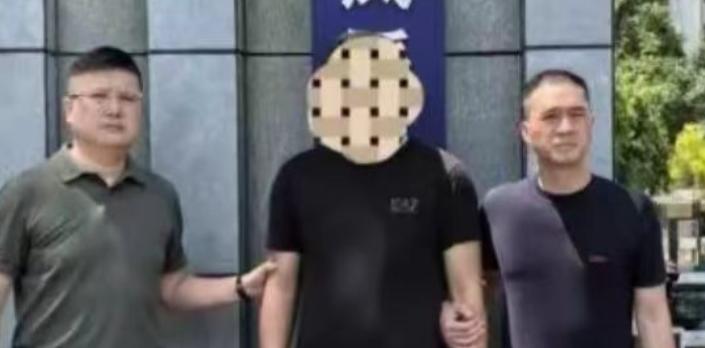 亲哥哥车祸身亡，作为双胞胎弟弟，听到消息没有一丝悲痛，反倒看到了一条可以彻底洗白