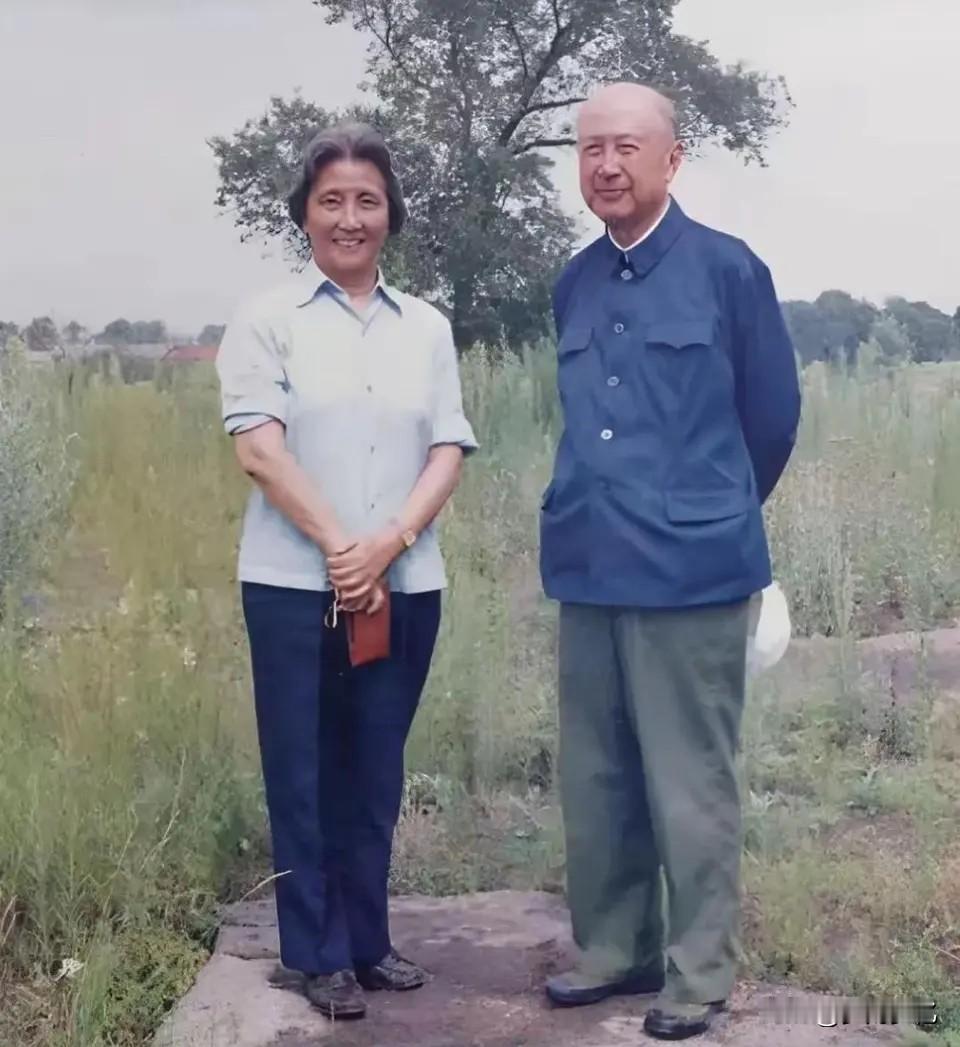 国之脊梁的背后，藏着一个女人的半生芳华钱学森院士和妻子蒋英的合影，非常的朴