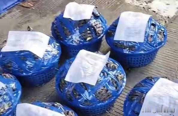 杨梅泡药水事件持续发酵，给杨梅种植户很大的压力！看杨梅种植户为了自证清白，把自