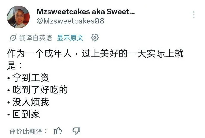 作为一个成年人，过上美好的一天实际上就是: