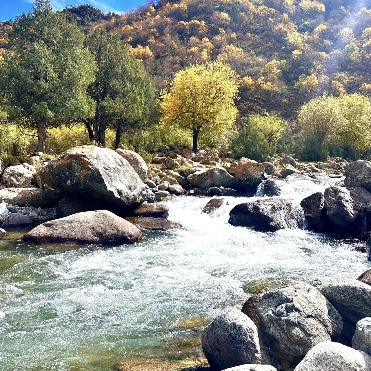 去了武威才知道！这5件事没人提前说，真的容易踩坑！刚从武威游玩归来，真心实
