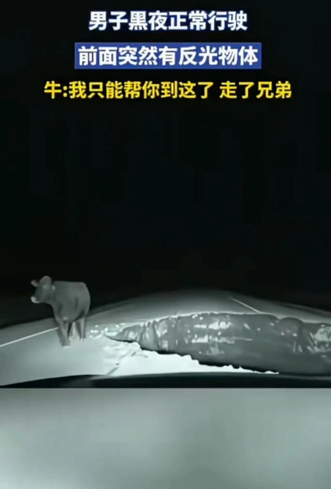 这就是我们常说的“科学解释icon不了”的真实写照。有时候，生活中的那些“不可思