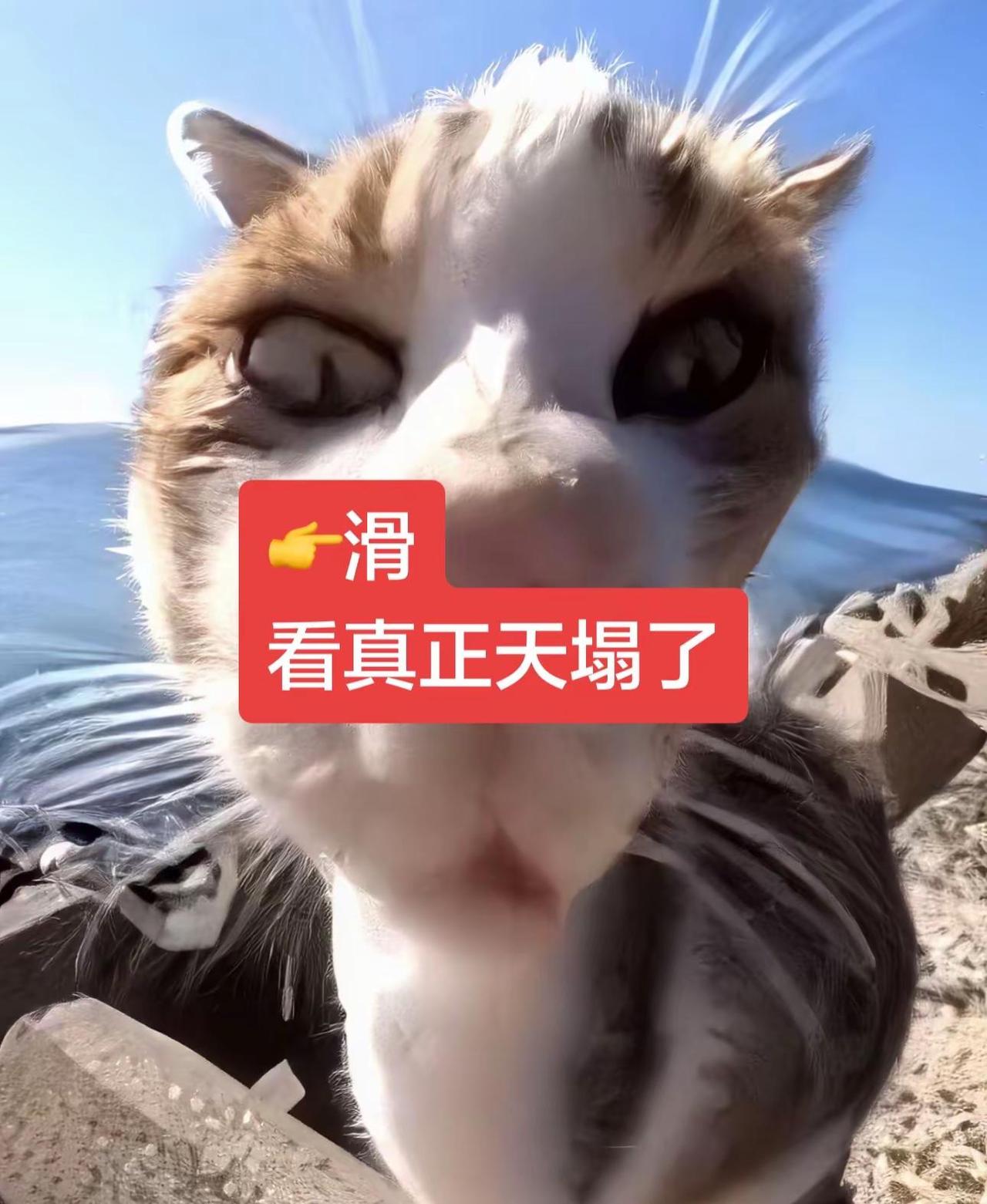 天塌了具象化