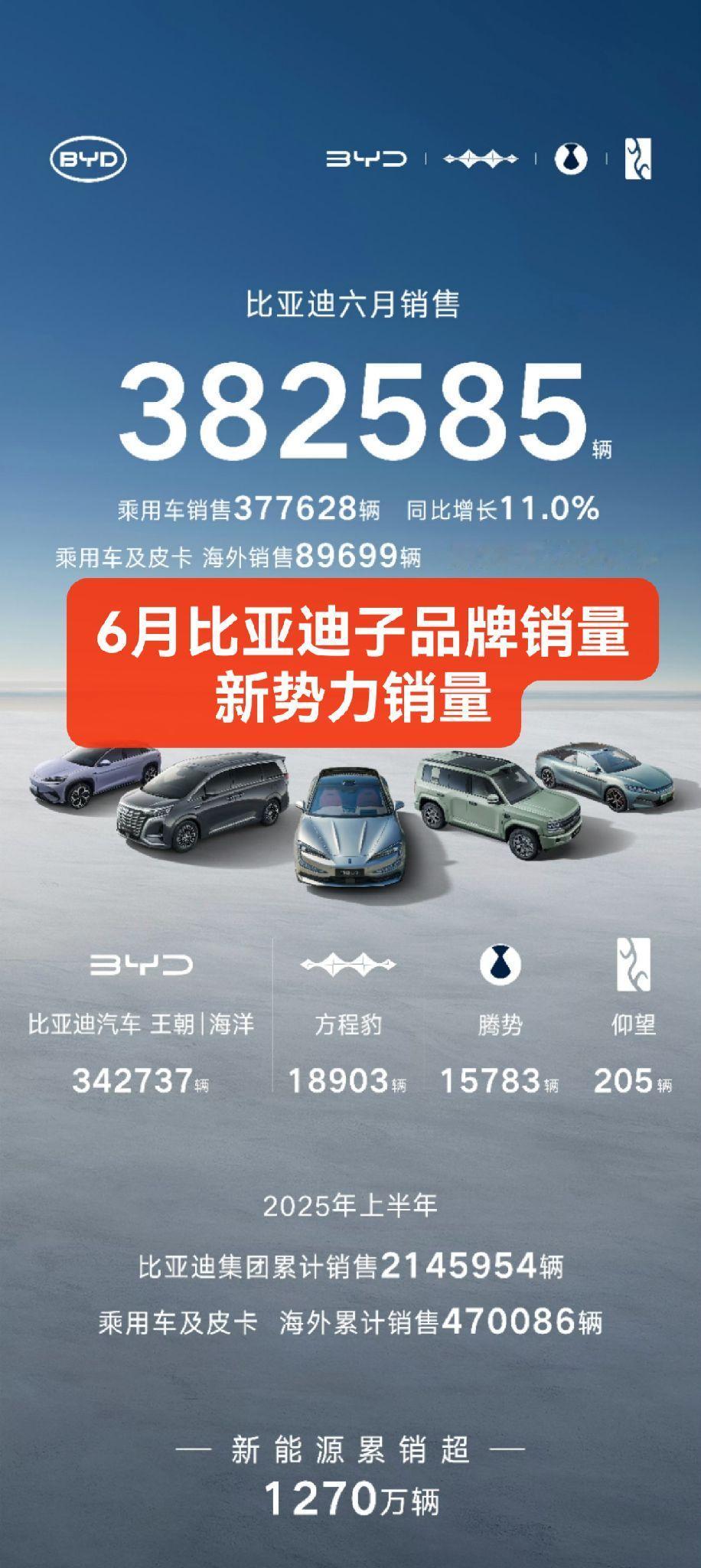 6月比亚迪子品牌销量，新势力销量