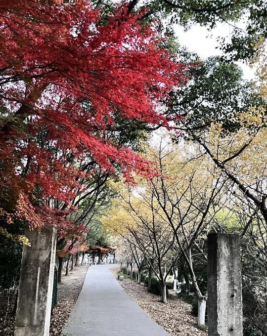苏州是掌管园林的神！旺山徒步一日游天气超好！旺山徒步好舒服，免费徒步区域景色也