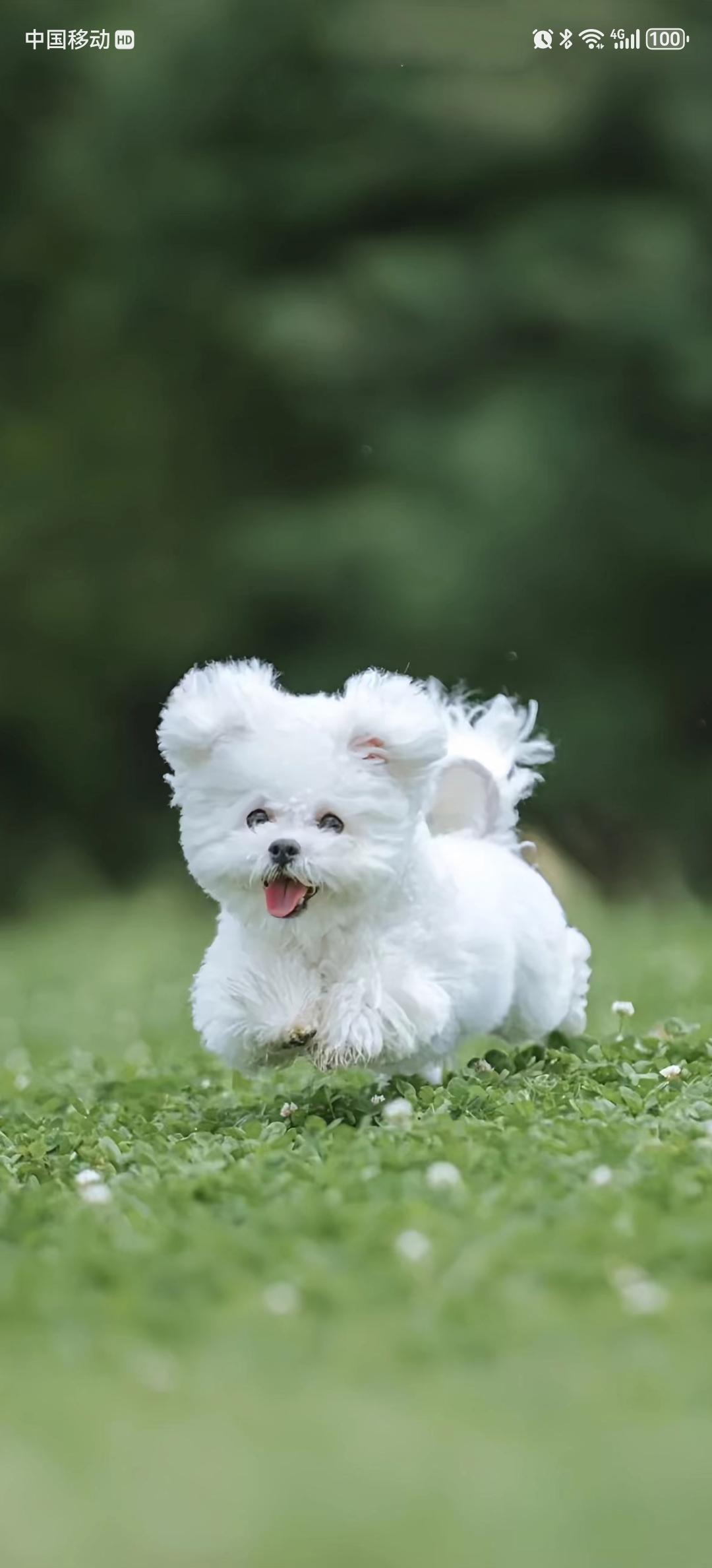 段永平说要做自己喜欢的事情我现在深刻地体会到这句话的深意前段时间我写作收益很