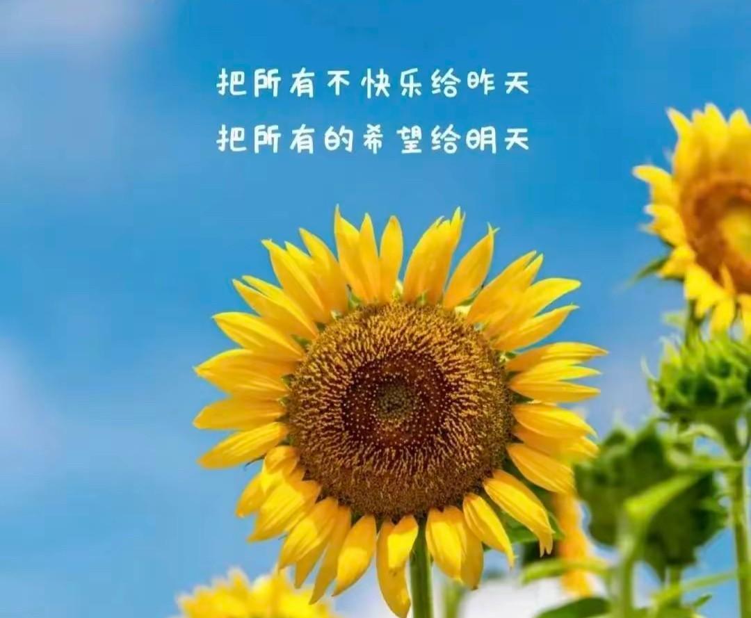 拒绝人感觉真是爽爆了！昨天下午，工作正忙，18岁的侄儿微信找我。我心里咯