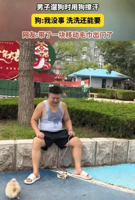 笑不活了！山东一名男子带着一只狗狗出门遛弯，由于天气实在太热了，男子走了好一会儿