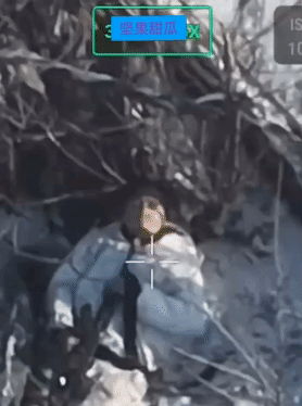 宁死不屈，乌克兰无人机拍摄到，一名俄罗斯士兵在受伤后，挨在树枝上，他也没什么办法