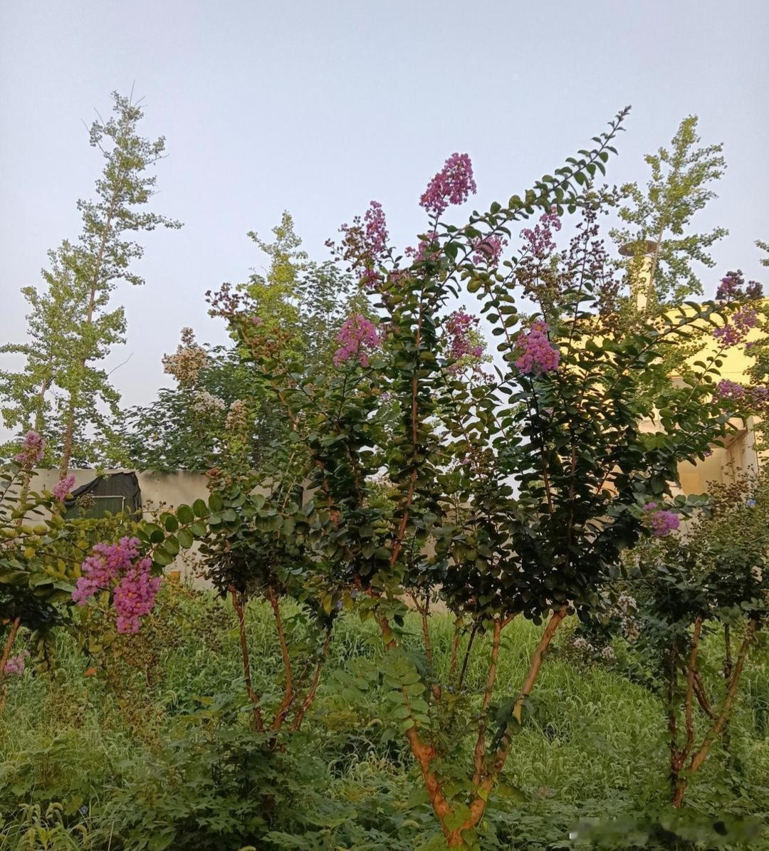 识人辨事，看透身边人心:1、爱做饭的人，大多性格沉稳、很有耐心。2、整天炫耀豪车