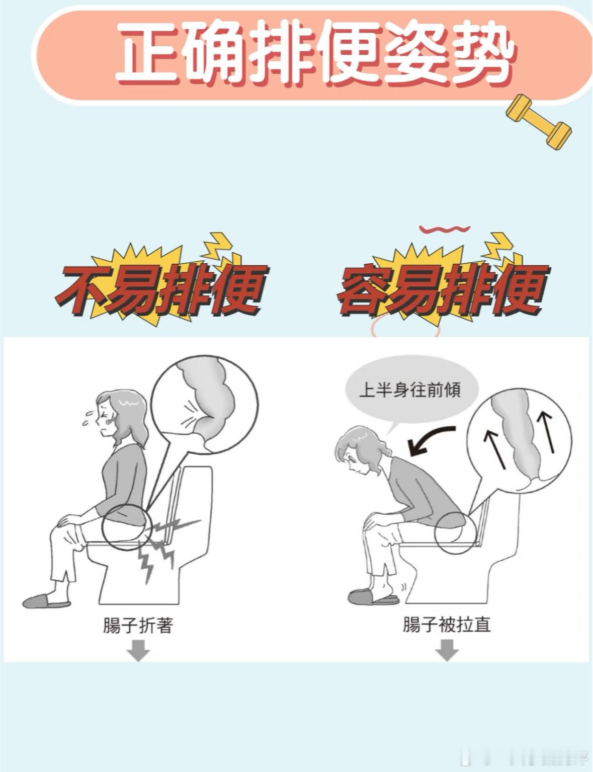 突然发现了马桶的正确坐姿马桶怎么坐才会很“顺畅”​​​