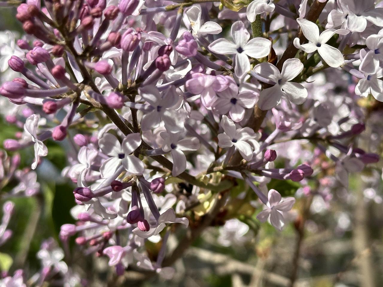 普通人退休金有多高？其实主要三个因素决定，你交了多少年，你扣了多少钱，还有你在