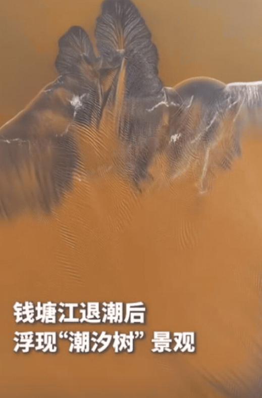 “太壮观了”10月21日浙江一男子用无人机拍钱塘江，谁能想到，无人机刚起飞，就发