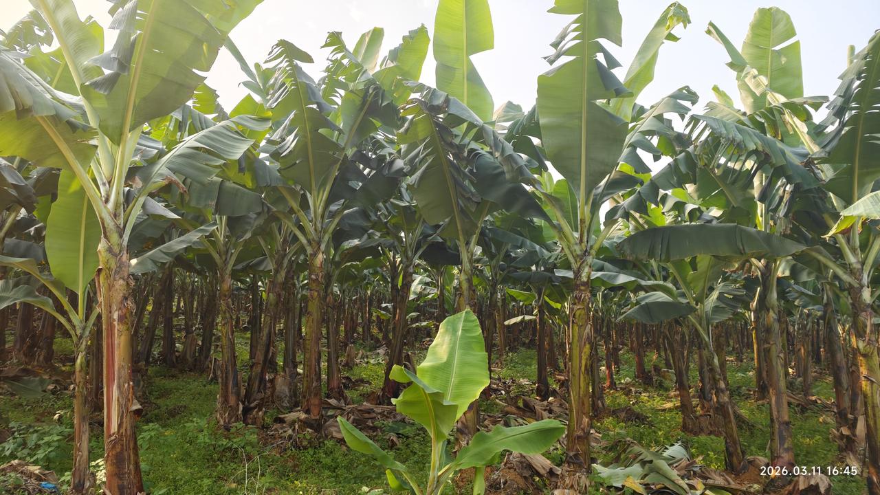 【环国行摄】第三阶段西部篇D27天总第82天：水口镇—旧州。1.路线：水口镇—