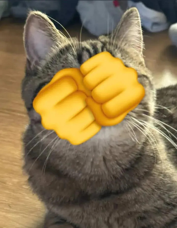 tada~meme​​​