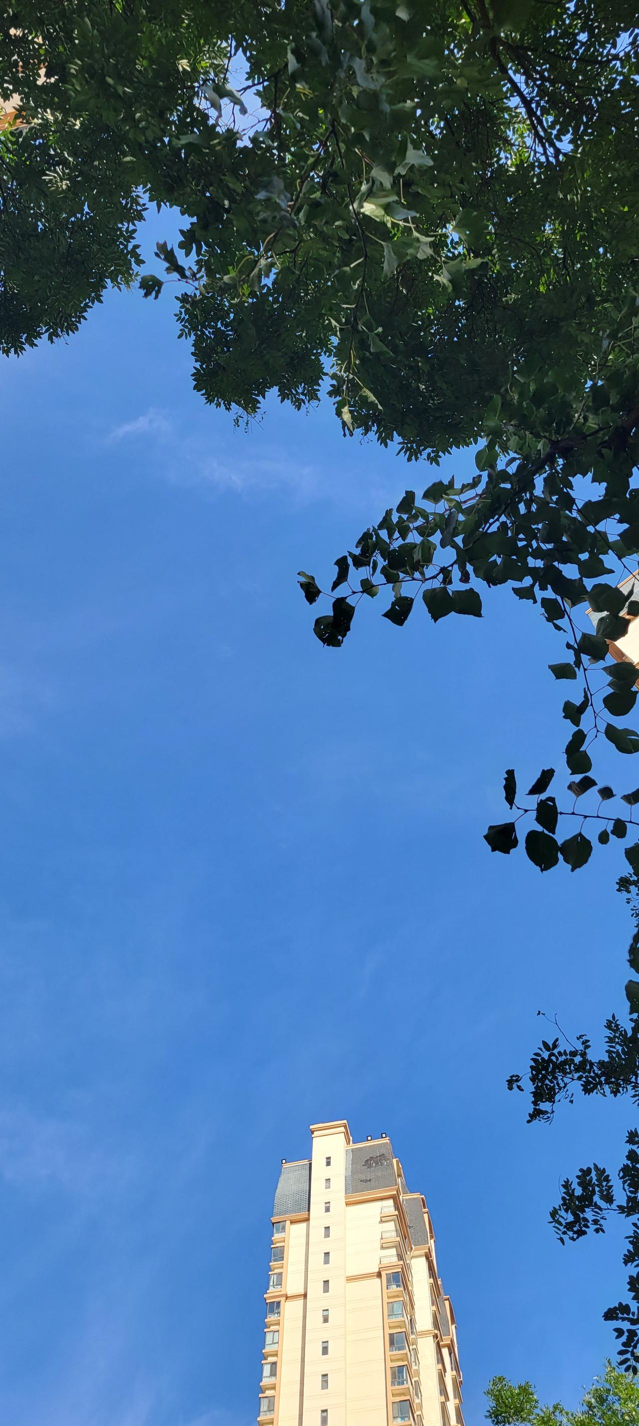 又见兰州蓝！近来兰州雨水特别多，被兰州的朋友戏称为“兰州梅雨天气”。持续的阴雨
