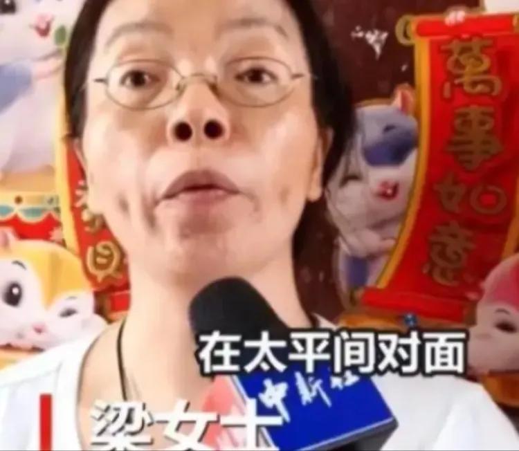 广州海珠之眼：贪心的钉子户梁蓉2010年广州海珠涌大桥拆迁，30多平米老屋