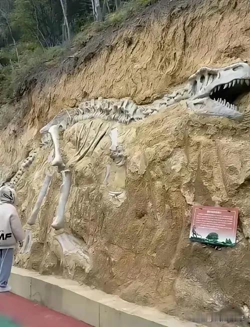 这家伙长眠地下几亿年了吧？看看这牙齿，这血盆大口，不难想象，