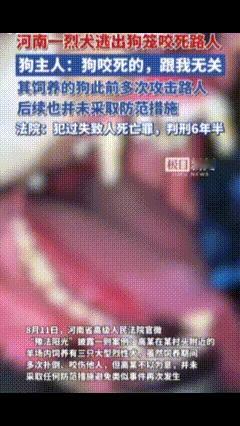 烈犬撕咬路人致其当场死亡，狗主人辩称：“人是被狗咬死的，我没罪”，法院判了→