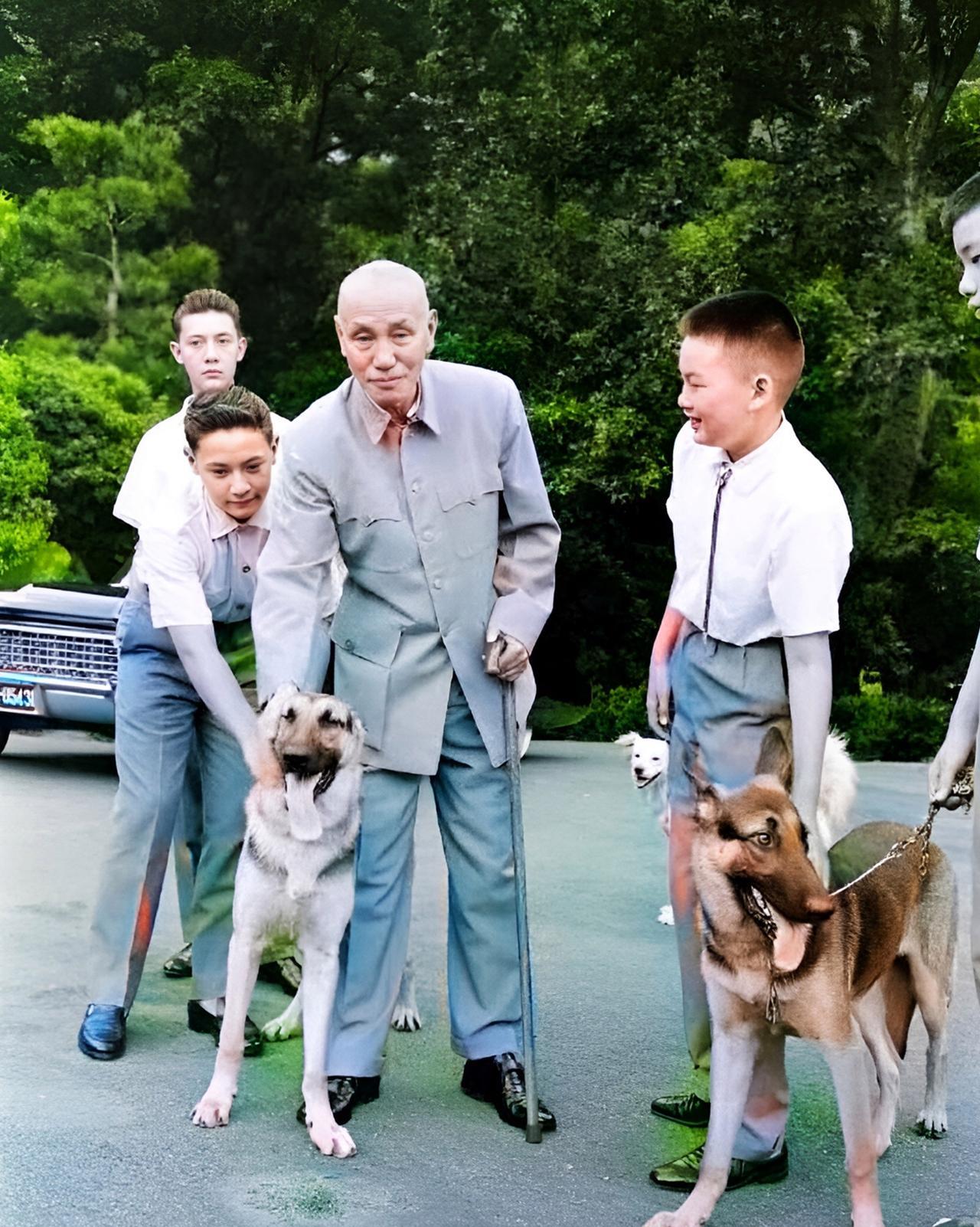 这是蒋中正带着两个孙子、两个侄子在公园里遛宠物狗。蒋中正孙子的颜值显然要比侄子值
