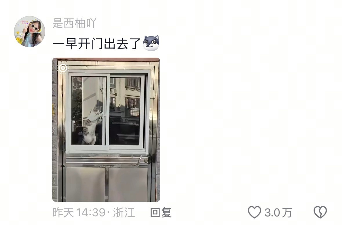 会缩骨功的猫咪人间值得有欢喜我的幽默灵感片场​​​