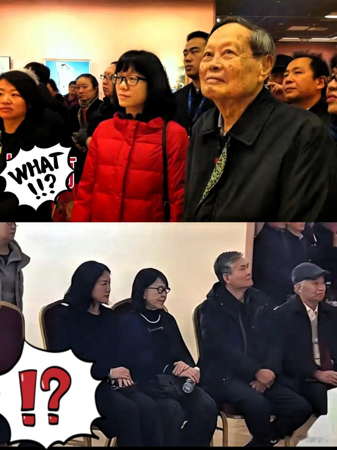 杨先生去世后，翁帆强颜欢笑出席画展，您是否也曾经历过这样的掩饰？翁帆在杨先生