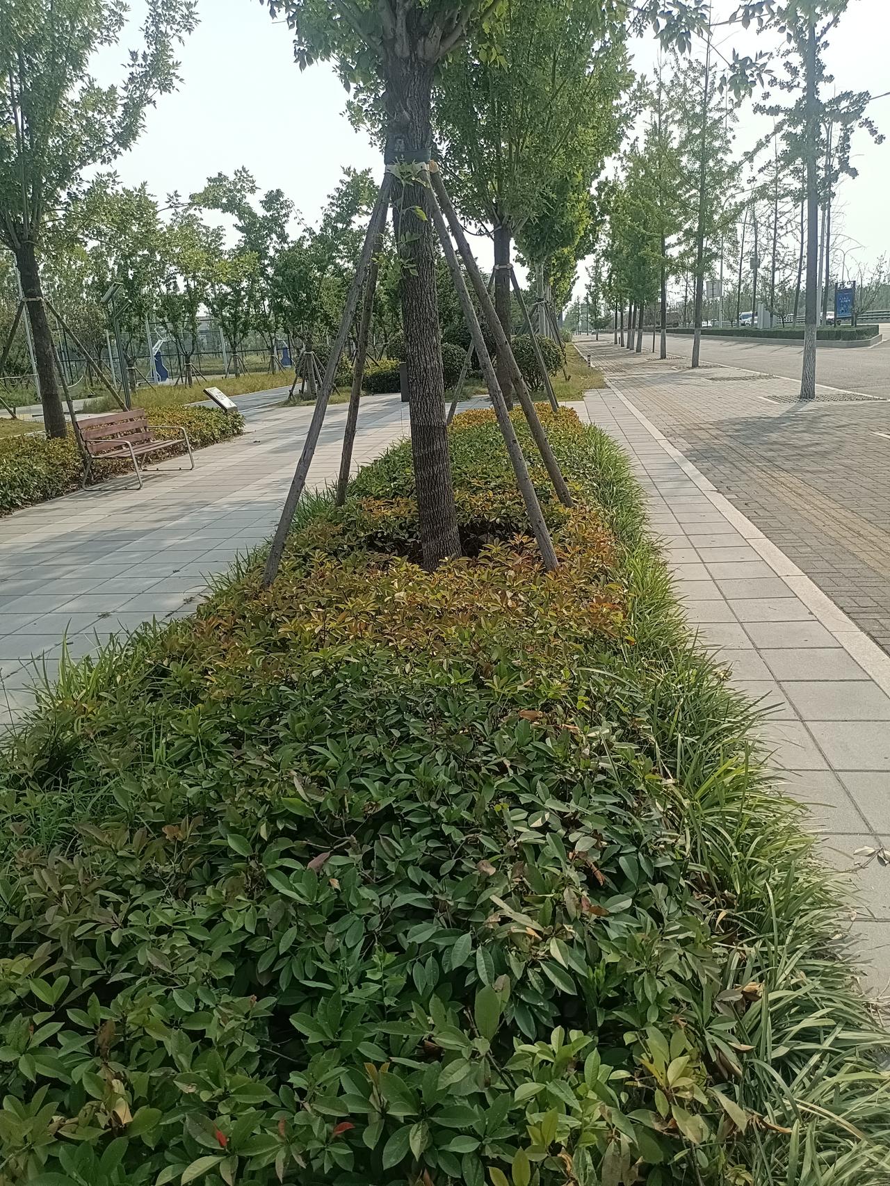 一位教育专家说：“教育孩子的路上，最忌讳的就是，爸爸太过严厉！你越严厉，孩子越胆