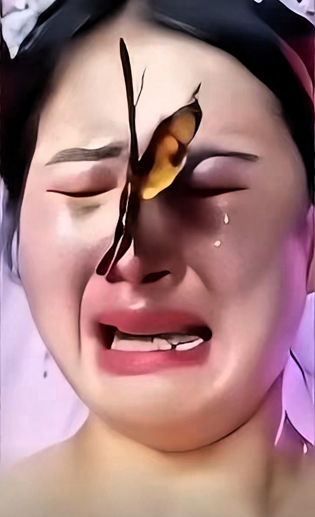 泪目！女儿出嫁日，一只蝴蝶停在她身上不肯走，她哭着喊“妈妈”刷到这个画面时，