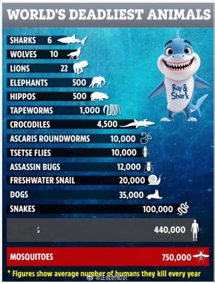 世界上最致命的动物是蚊子