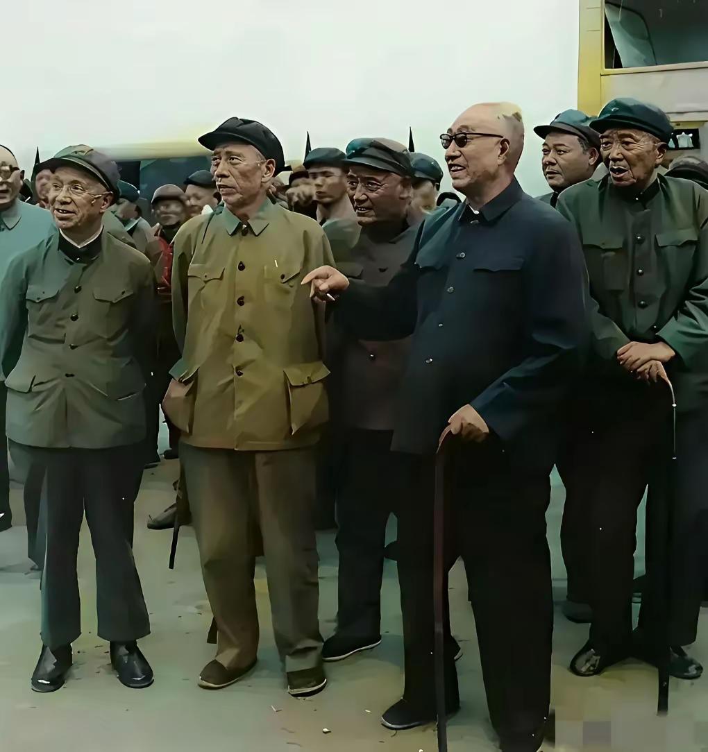 布衣老帅[比心][玫瑰]