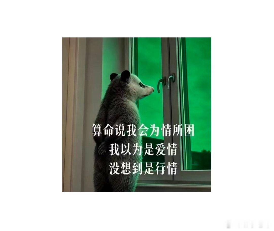 牛市两年，在全体股民的努力下，某队的债算是快化完了，接下来轮到股民怎么...