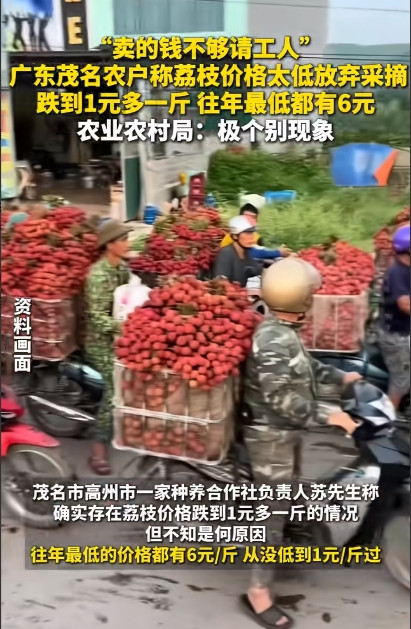 今年荔枝这么便宜吗？有种植户说虽然今年荔枝大丰收，但价格却很低，最低的跌到一块多