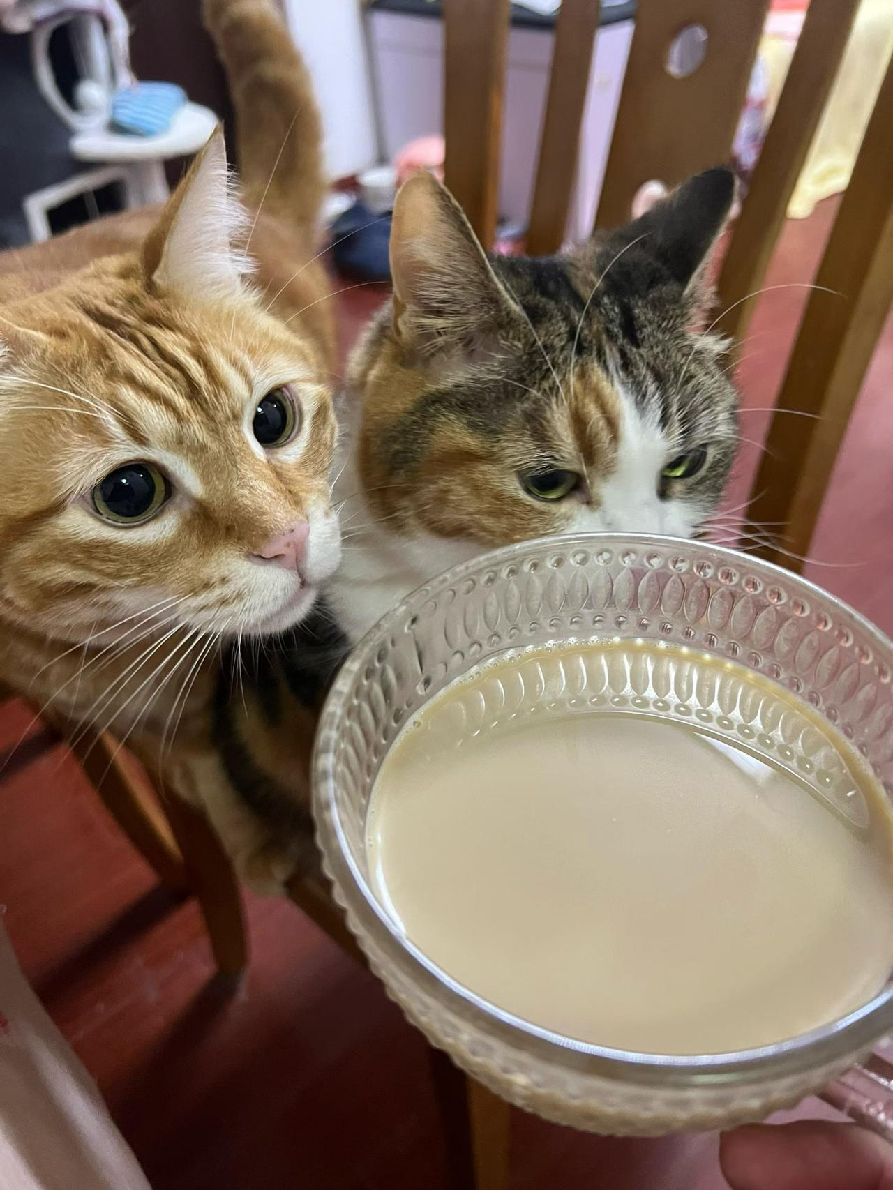 从一杯热咖啡开始，把节奏交给自己，享受此刻的安然。