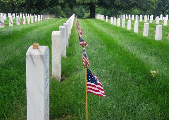 牢A还是保守了，一个美国网友灵魂拷问：1990年至今美国死亡人口超90