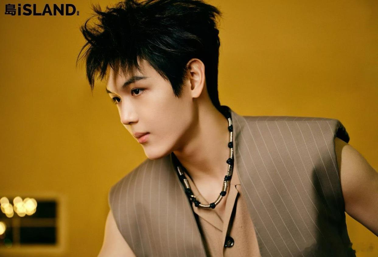 难道没人觉得王艳的儿子王泓钦和王诗龄长得很像吗，眉骨很高，面相都很凌厉。一个富家