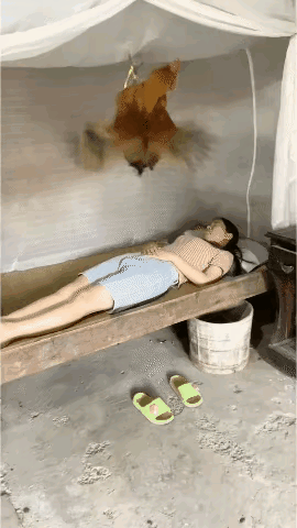 美女的办法甚称一流，如果大公鸡屙一坨屎下来怎么办？