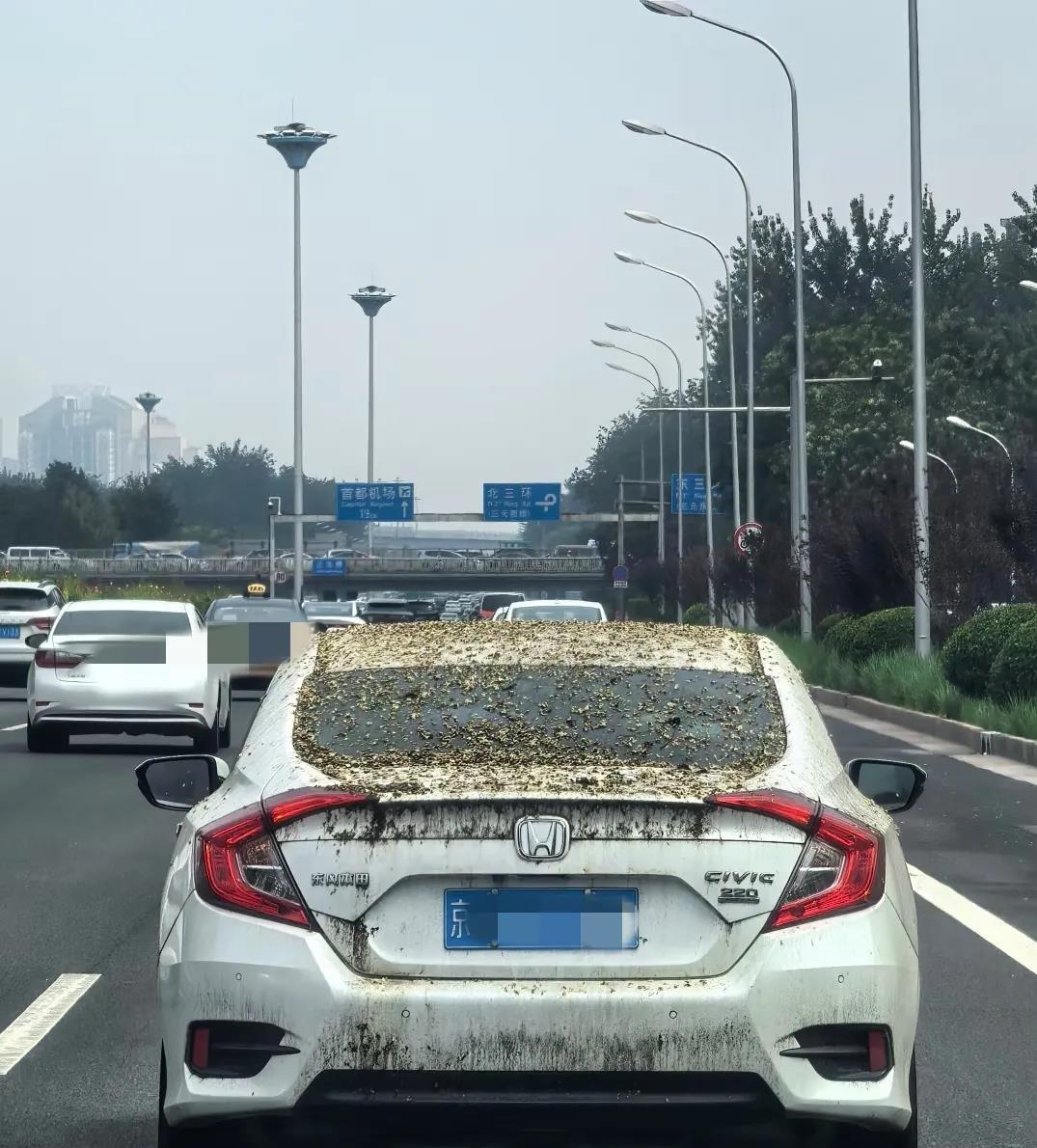 这是多少天没开车啊？咋能这么厉害