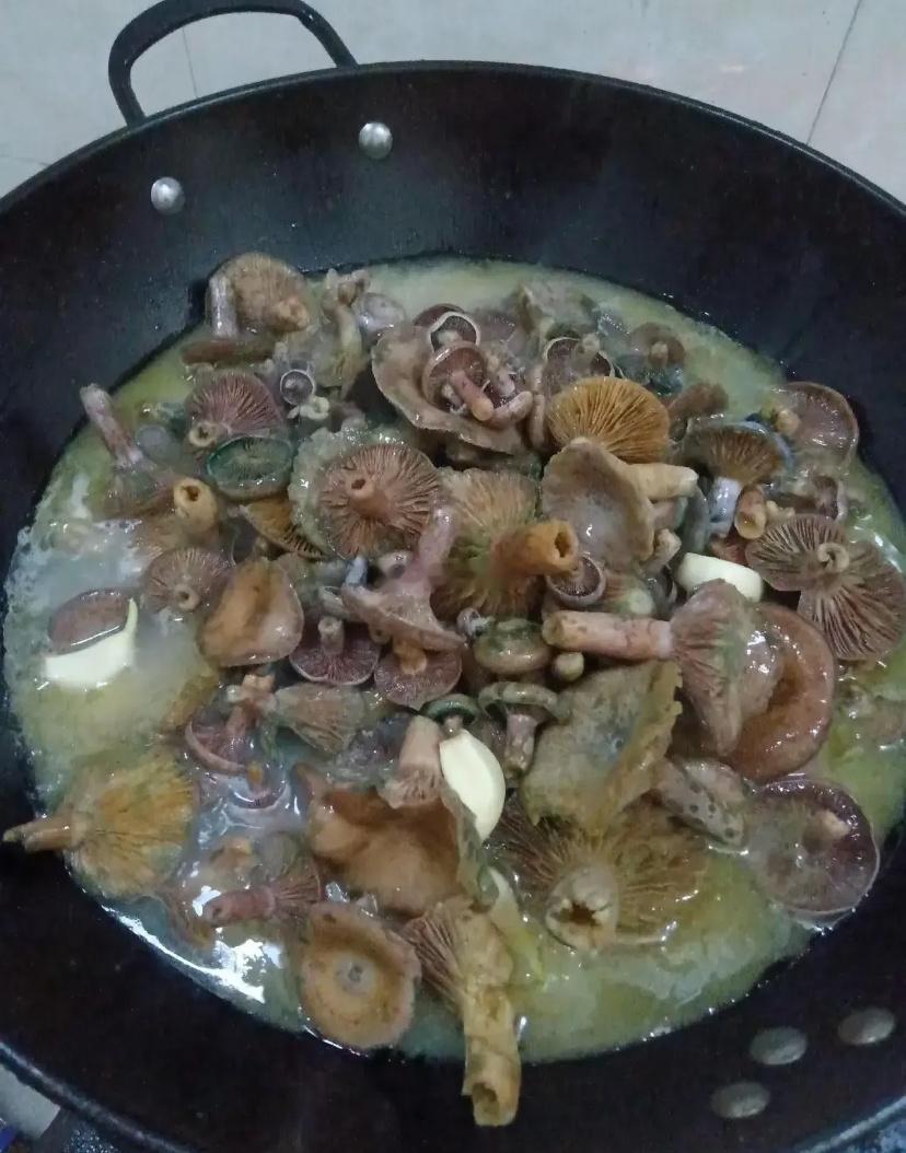 一个敢煮，一个敢吃，真是太牛了！这种菌能吃吗？