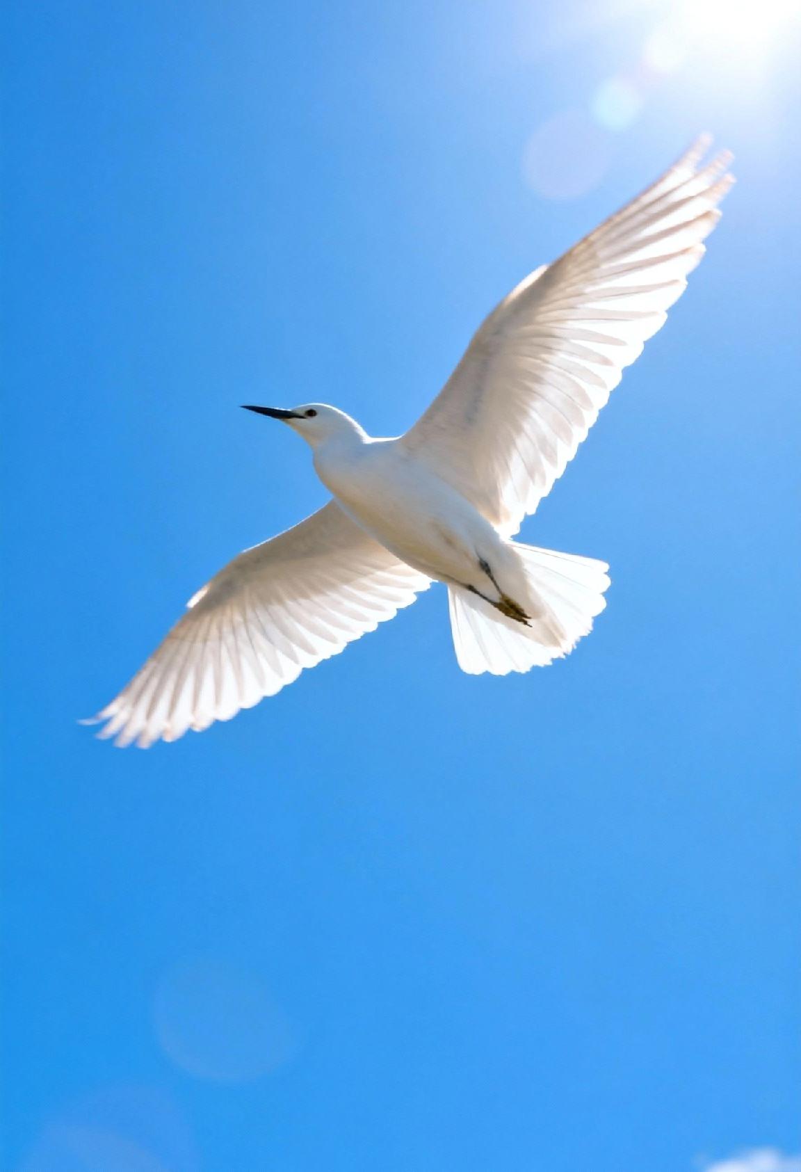 要自由就要有3个底气第一点，要有钱，现在这个社会，你做什么都是要钱的，