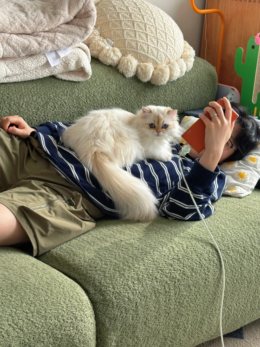 爱是允许小猫有自己的性格