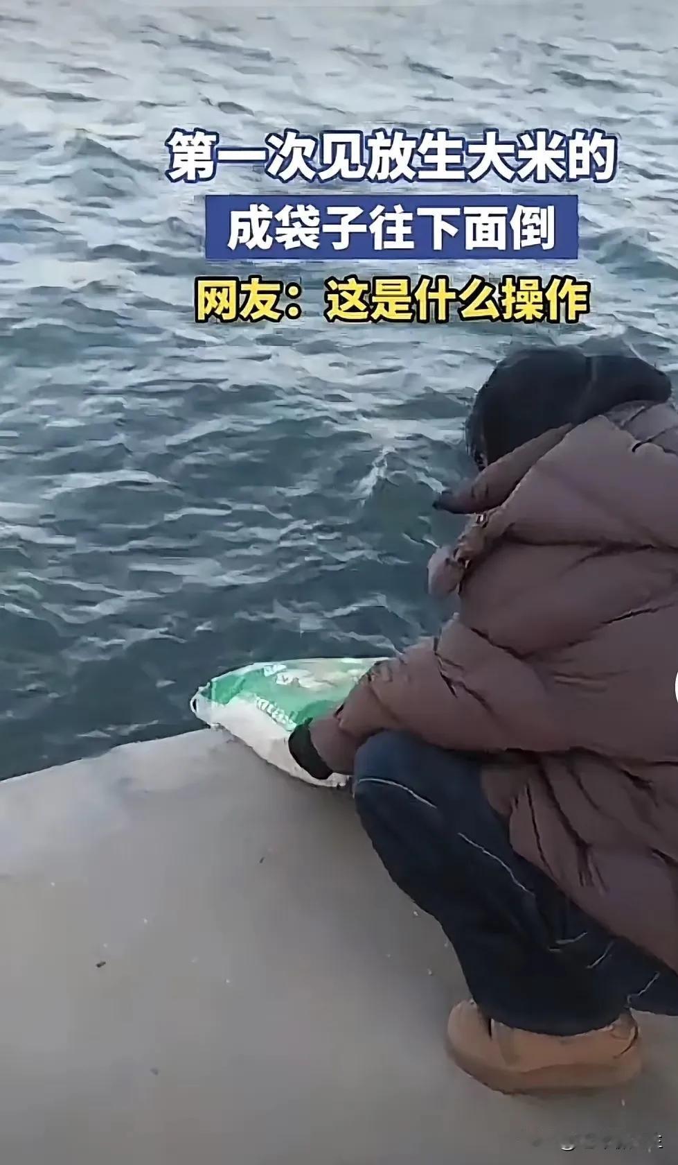 哎，你说现在有些人是不是闲得慌？家里大米吃不完，居然想到拿到河边去“放生”！