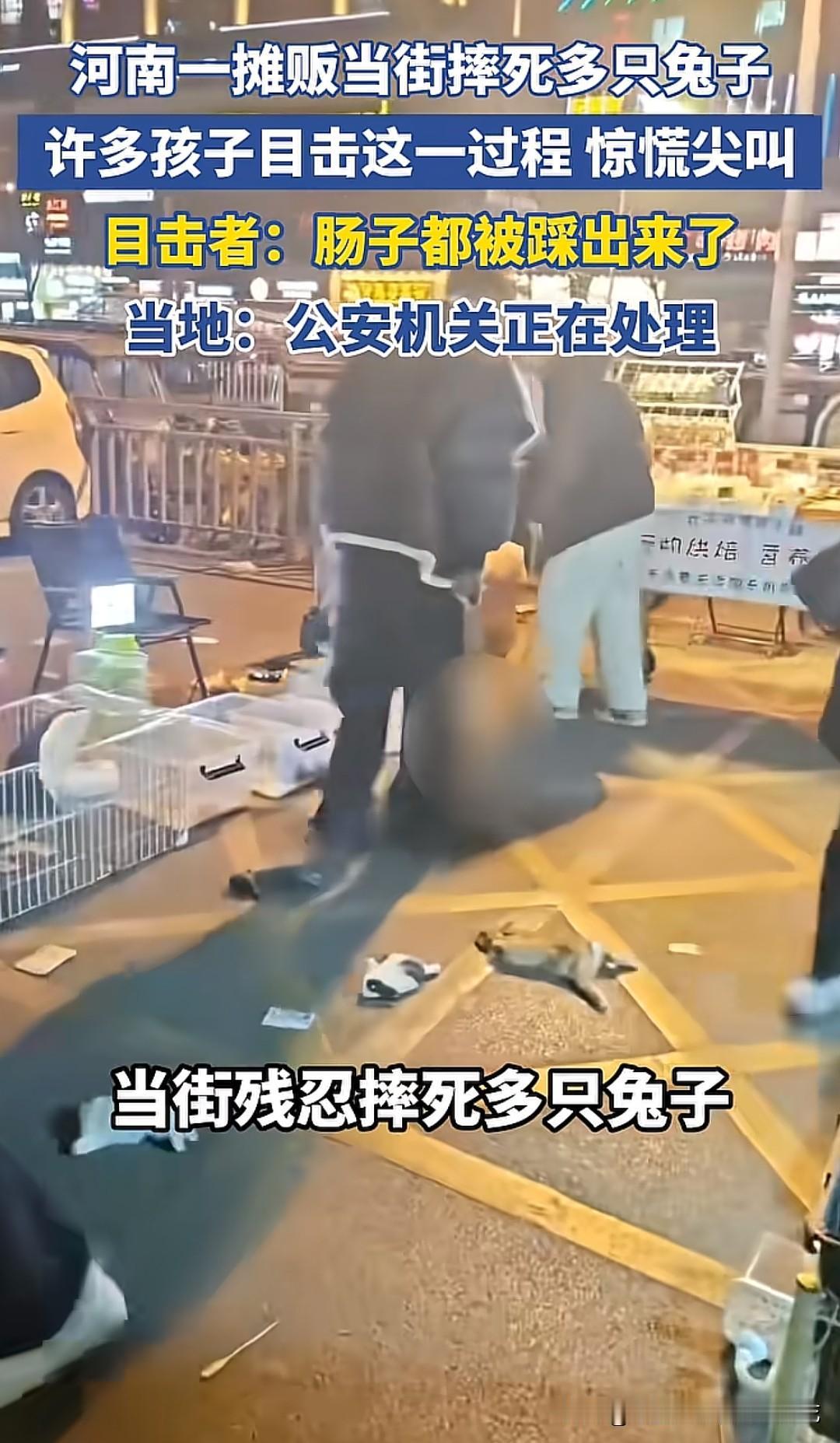 河南漯河市昌建广场一卖兔子的摊贩当街摔死多只兔子，引发大量网民关注。他为什么这么