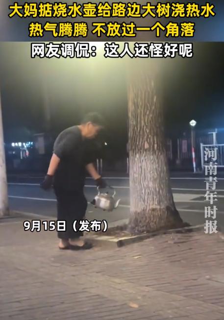 9月15日报道，沈阳一大妈连续两周晚上，提着一壶开水去小区路边浇树。邻居开始都以