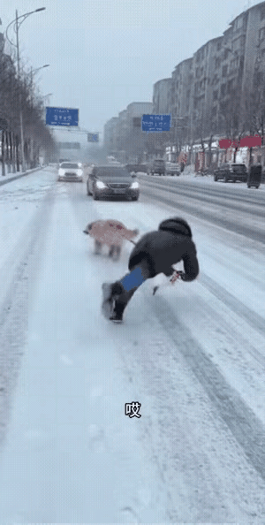 在鬼门关遛了一圈，还是被狗遛的。该松手就得松手啊